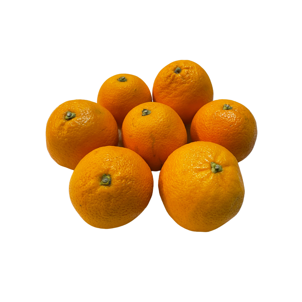 Sinaasappel pers - perssinaasappels