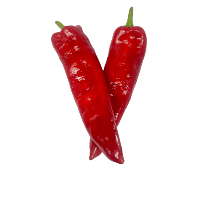 puntpaprika te koop