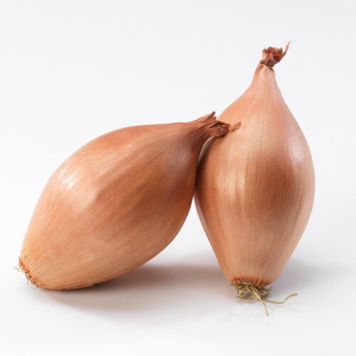 sjalotten uien kopen