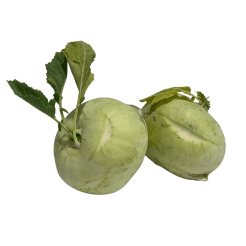koolrabi kopen fruitbijuthuis