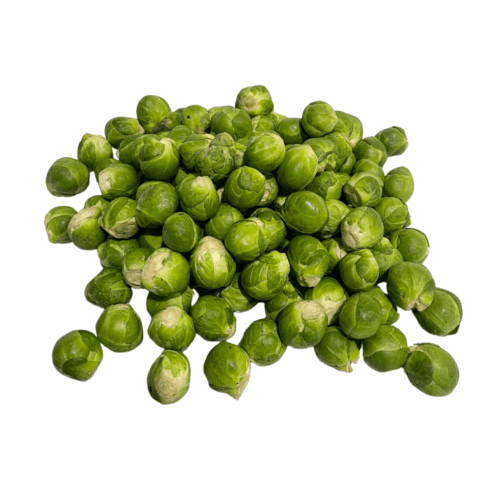 spruiten kopen